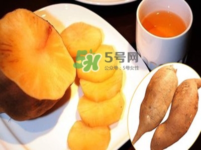 雪蓮果怎么挑？雪蓮果怎么儲(chǔ)存方法？