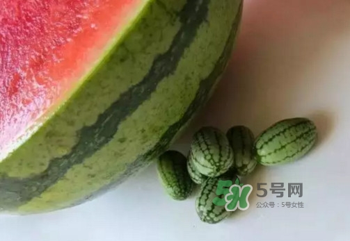 拇指西瓜多少錢一斤？拇指西瓜一口能吃幾個(gè)？