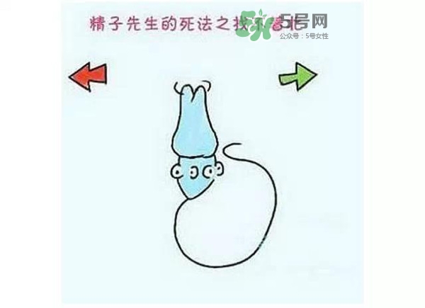 殺精的食物有哪些？吃什么東西殺精？