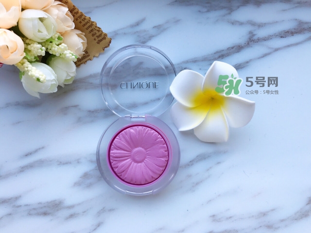 倩碧小雛菊腮紅評(píng)測 倩碧小雛菊腮紅使用心得