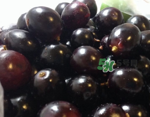 烏梅是綠色的正常嗎？烏梅是綠色的能吃嗎