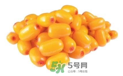 沙棘怎么吃？沙棘果的食用禁忌