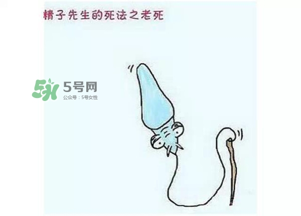 殺精的食物有哪些？吃什么東西殺精？