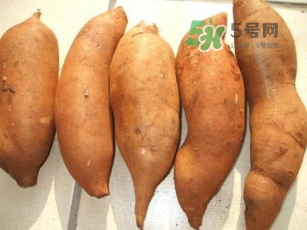 雪蓮果是水果嗎？雪蓮果是什么季節(jié)的水果？