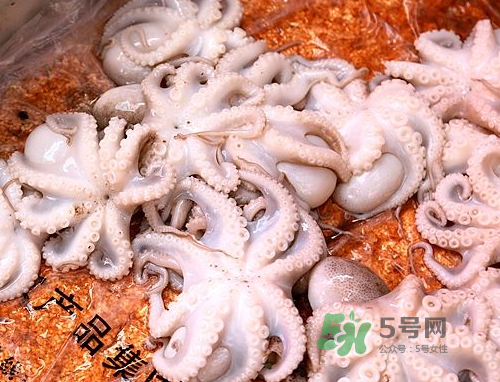 八爪魚可以冷凍嗎？八爪魚可以放冰箱嗎？