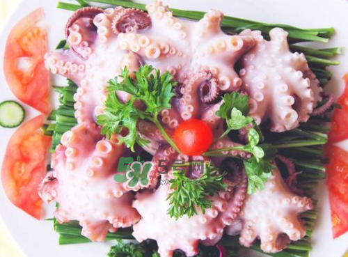 八爪魚什么地方不能吃？八爪魚哪里不能吃？