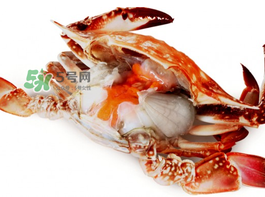 吃梭子蟹會(huì)胖嗎？梭子蟹吃了會(huì)胖嗎？ 
