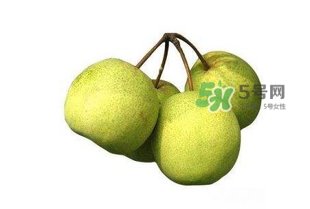 碭山梨好還是皇冠梨好？碭山梨和皇冠梨的區(qū)別