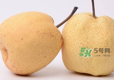 碭山梨什么時候成熟？碭山梨幾月份成熟