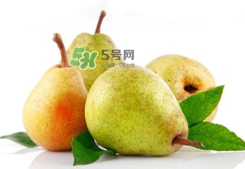 梨子是什么季節(jié)的水果？梨子什么季節(jié)吃最好