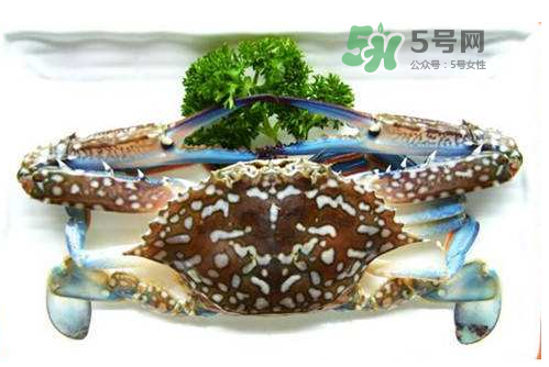 螃蟹腿藍色的是什么？螃蟹腿為什么是藍色？