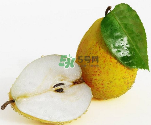 為什么梨子是溫度最高的水果？梨子什么人不能吃