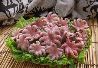 八爪魚煮多久才好？八爪魚需要煮多久？