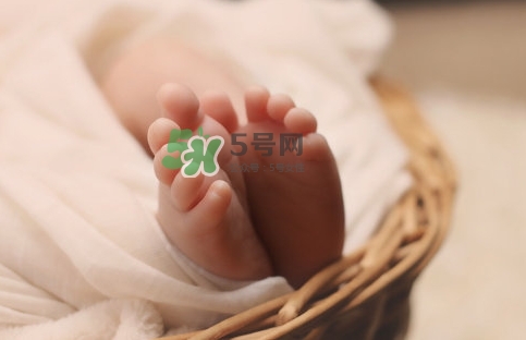 孕婦怎么吃燕窩最好？哪些孕媽需要吃燕窩？