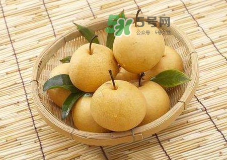 梨子怎么保存？梨子可以放冰箱嗎