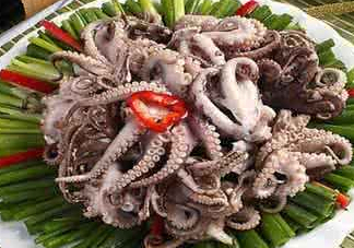 八爪魚可以冷凍嗎？八爪魚可以放冰箱嗎？