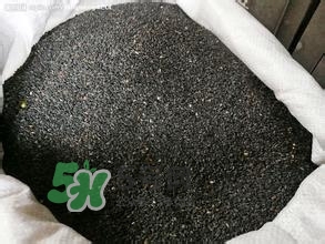 怎么看男人腎好不好？男人腎虛吃什么調(diào)理？