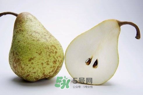 梨子核可以種盆栽嗎？梨子籽怎么種小盆栽