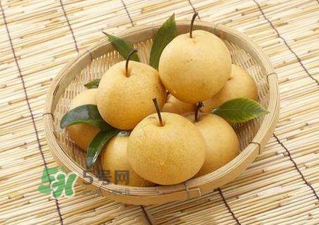 買梨子怎么挑選？梨子外面為什么要包張紙