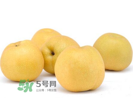 碭山梨什么時候成熟？碭山梨幾月份成熟