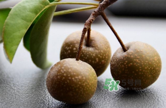棠梨子怎么吃？棠梨子孕婦可以吃嗎