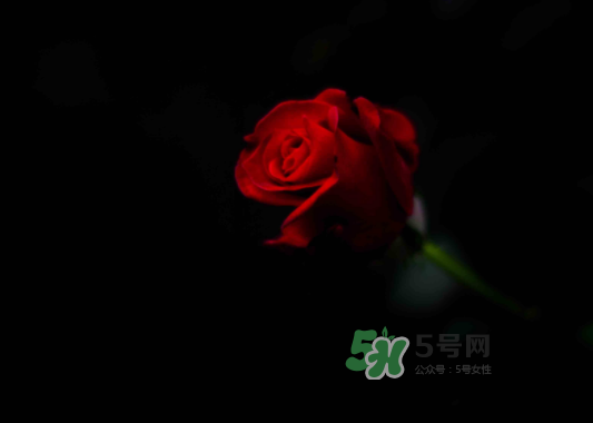 七夕可以怎樣賺外快_七夕賣(mài)什么賺錢(qián)_賣(mài)花賺錢(qián)嗎