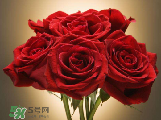 七夕可以怎樣賺外快_七夕賣(mài)什么賺錢(qián)_賣(mài)花賺錢(qián)嗎