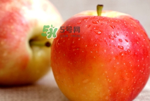 嘎啦蘋(píng)果多少錢(qián)？嘎啦果多少錢(qián)一斤