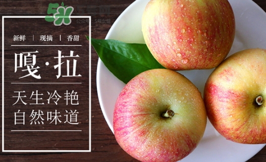 嘎啦蘋(píng)果多少錢(qián)？嘎啦果多少錢(qián)一斤