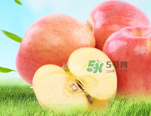嘎啦蘋(píng)果多少錢(qián)？嘎啦果多少錢(qián)一斤