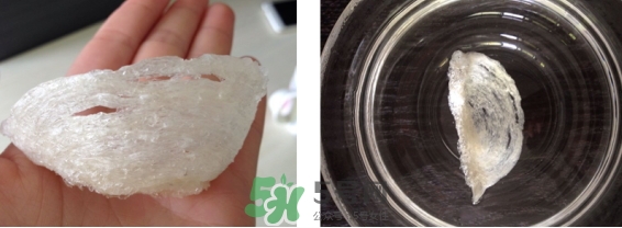 燕窩用什么鍋燉最好吃？燕窩用什么器具燉最好？