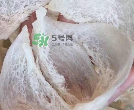 燕窩里面含有激素嗎？燕窩兒童吃了會不會性早熟？