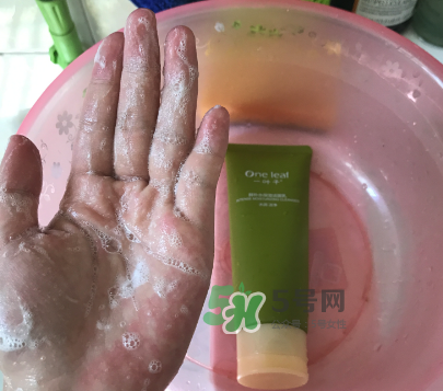 一葉子補(bǔ)水潔面乳怎么樣？一葉子補(bǔ)水洗面奶好用嗎？
