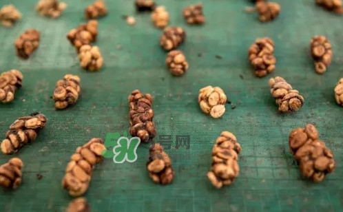 貓屎咖啡是怎么來的？貓屎咖啡的由來