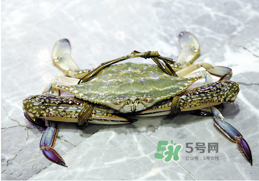 梭子蟹可以和酸奶一起吃嗎？吃完梭子蟹能喝酸奶嗎？
