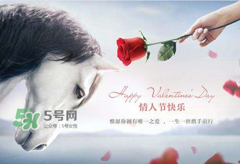 roseonly怎么樣？roseonly好看嗎？