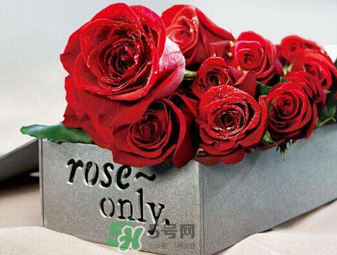 roseonly怎么樣？roseonly好看嗎？