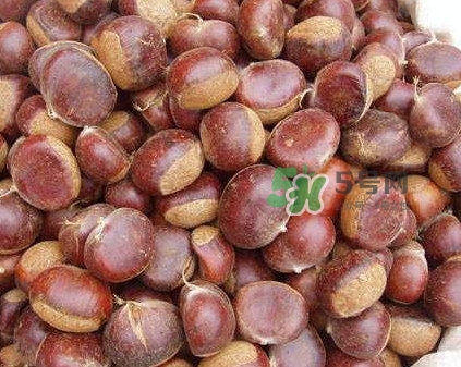 哪里產(chǎn)的板栗最好吃？板栗怎么挑選
