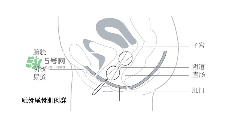 lelo露娜球如何使用方法？露娜球使用感受