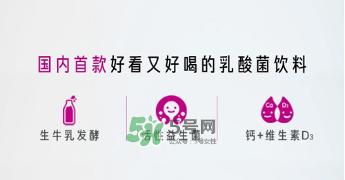 每日活菌乳酸菌多少錢(qián)一瓶？每日活菌乳酸菌好喝嗎？