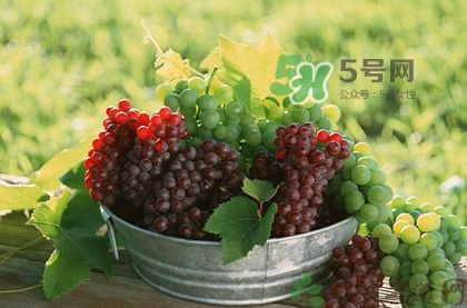 秋天成熟的水果有哪些？秋天吃水果有哪些禁忌
