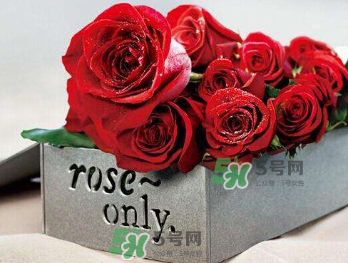 roseonly怎么看真假？roseonly真假對比
