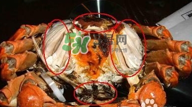螃蟹怎么吃好吃？螃蟹和什么一起吃最好？
