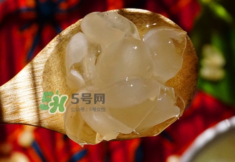 皂角米可以用熱水泡嗎？皂角米用冷水泡好還是熱水泡好
