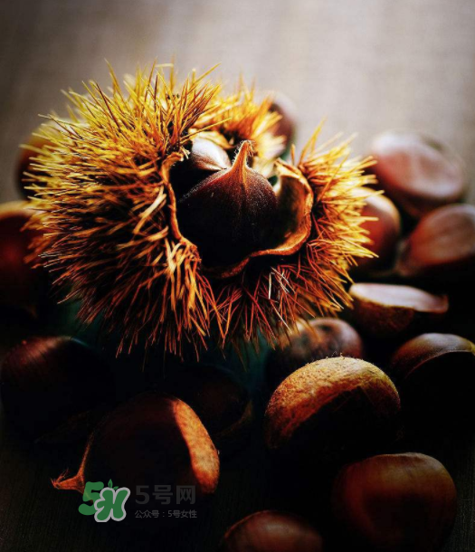 板栗能補腎嗎？板栗補腎陰還是腎陽？