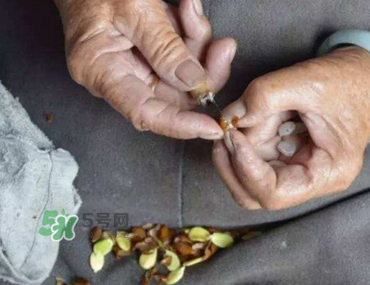 皂角米是怎么剝出來的？皂角米是酸性還是堿性