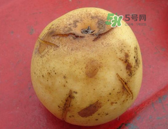 皇冠梨雞爪病能吃嗎？皇冠梨雞爪病怎么辦？