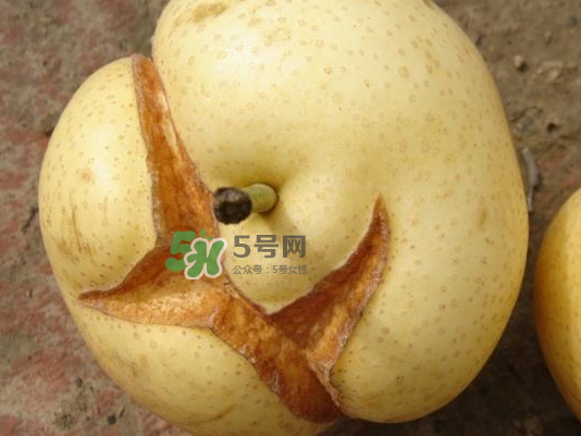 皇冠梨雞爪病能吃嗎？皇冠梨雞爪病怎么辦？