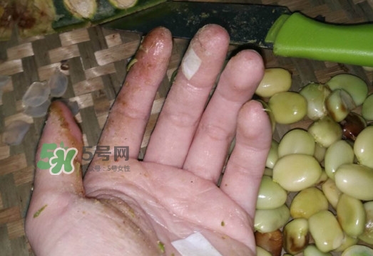 皂角米是怎么剝出來的？皂角米是酸性還是堿性