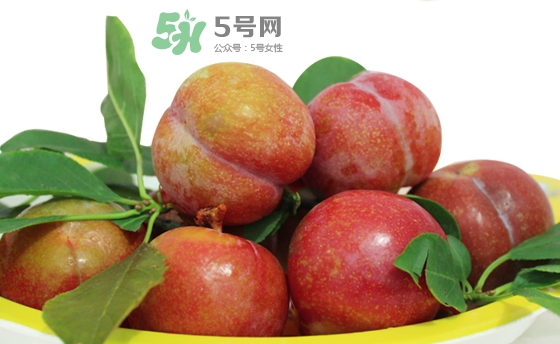 芙蓉李多少錢一斤？芙蓉李價格